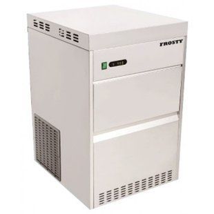 Льодогенератор FIF-100 AD0397 фото